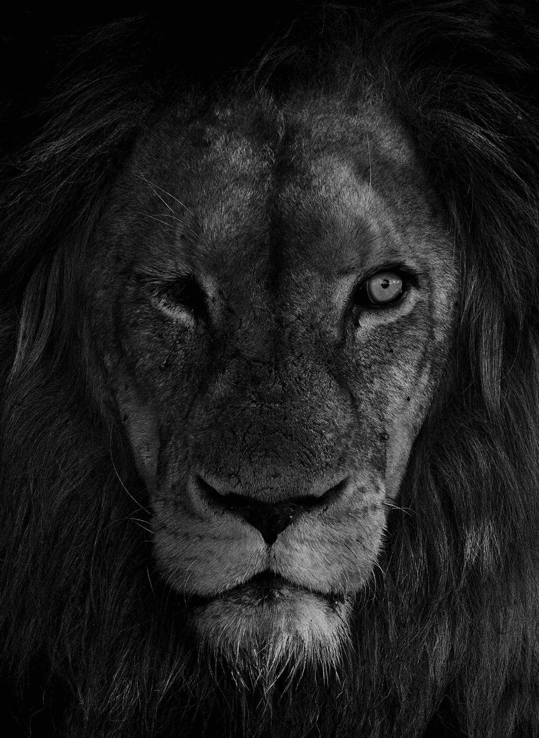 One Shot Photo Contest