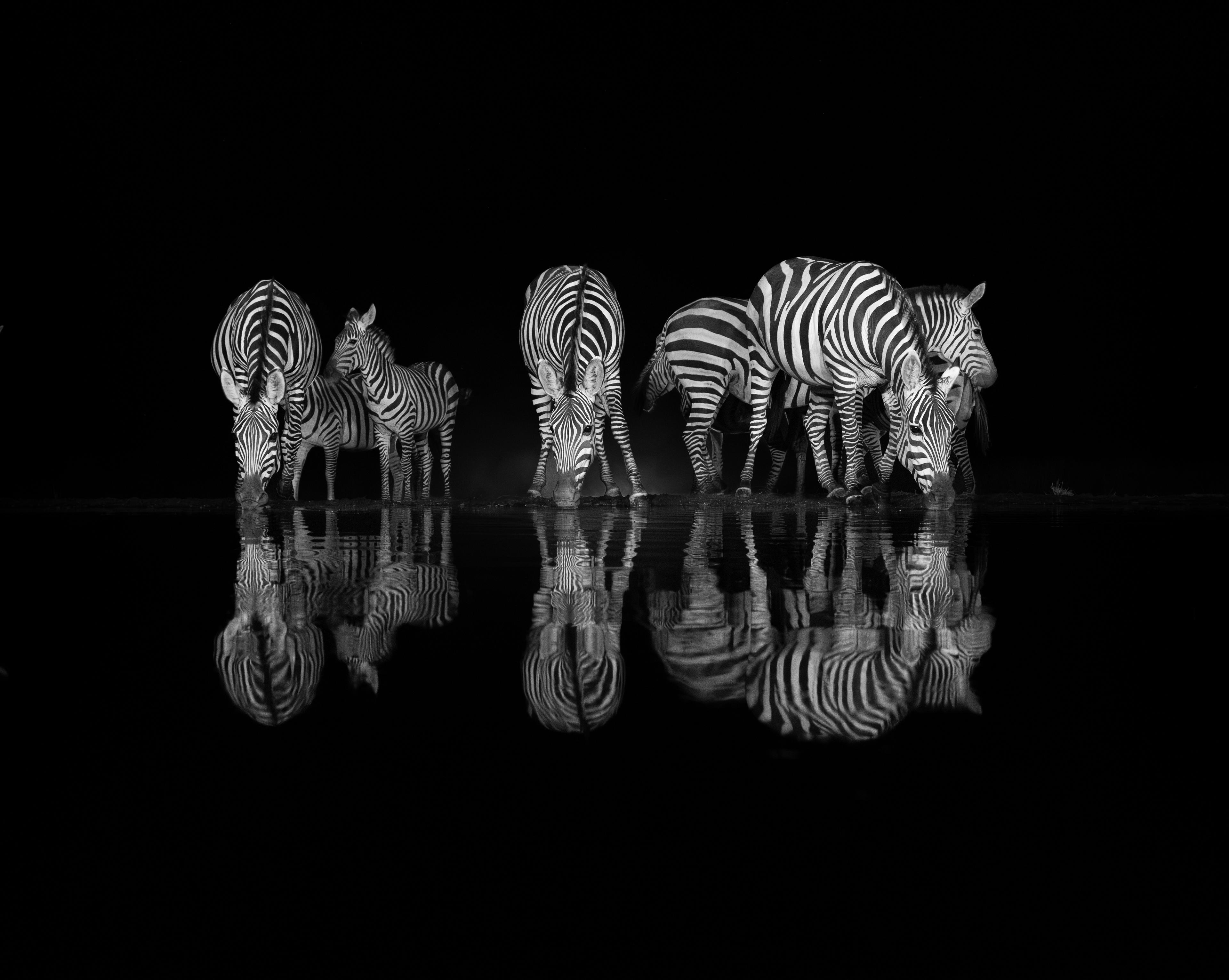Photographer of the Year Contest