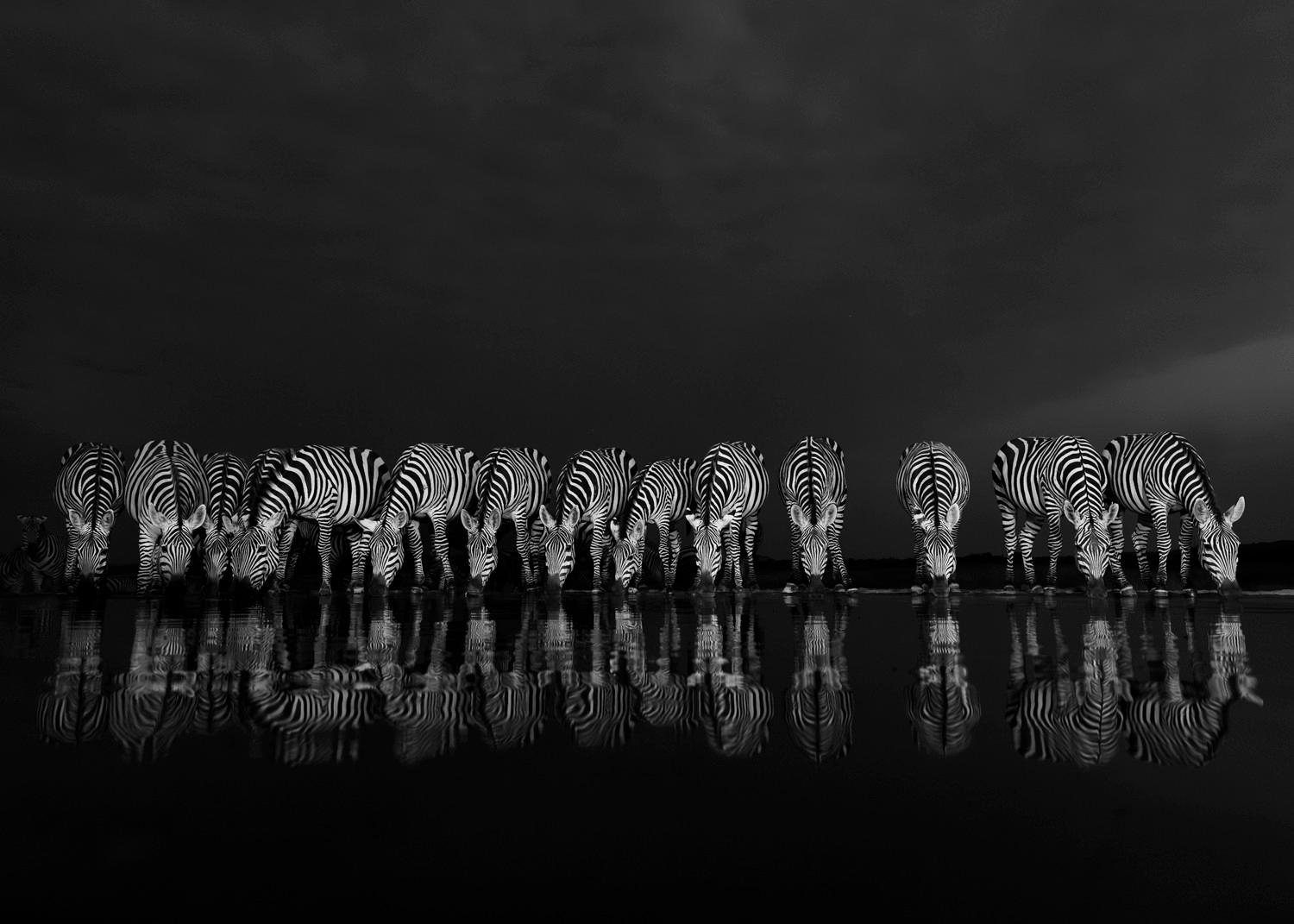 Nature Photography Contest