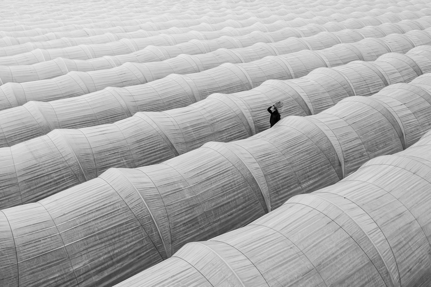 One Shot Photo Contest Featured Image