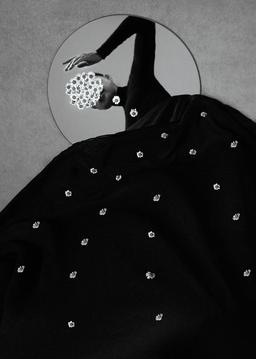 Xidong Luo entry image