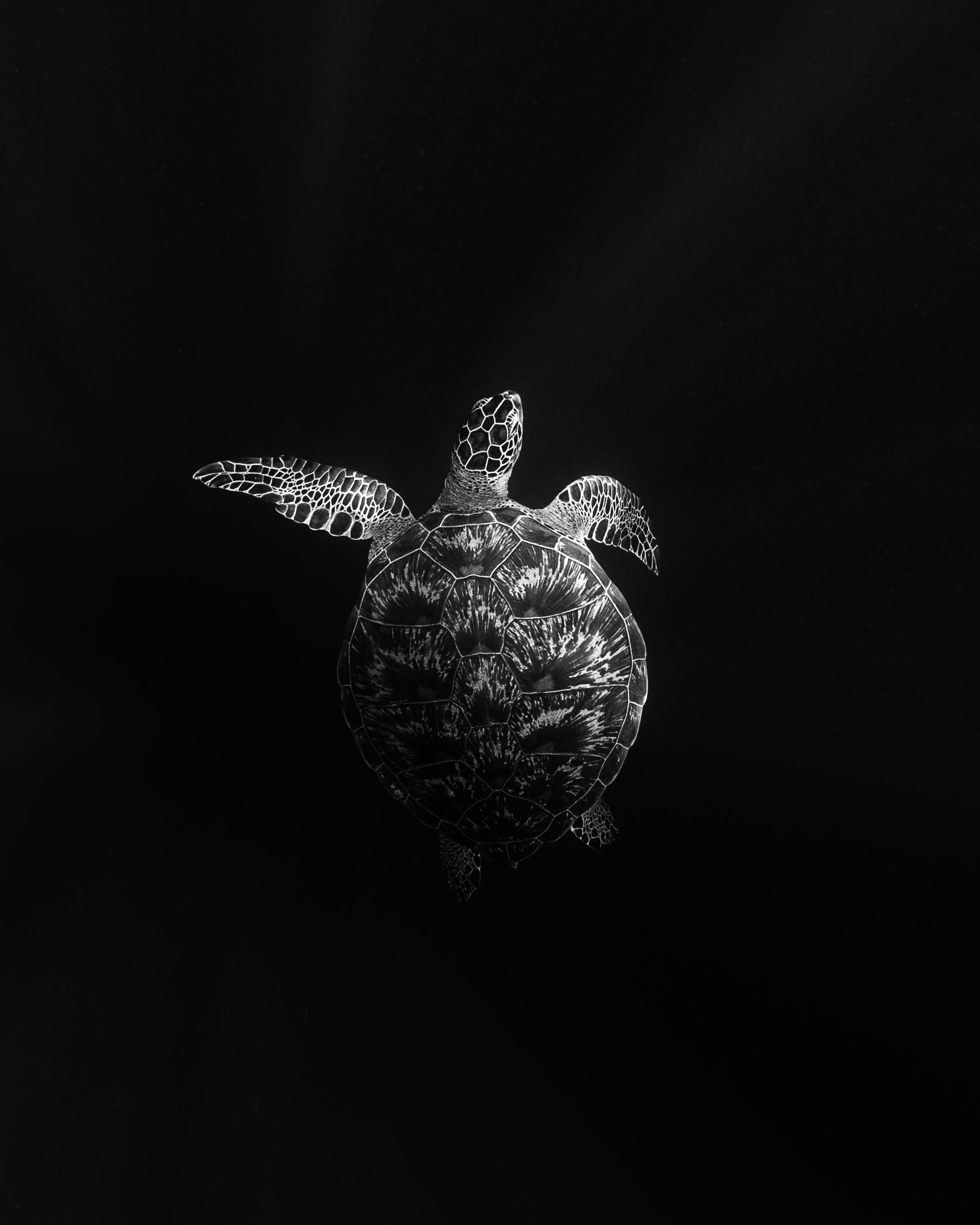 Nature Photography Contest